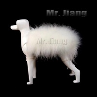Mr. Jiang Practice Back Coat Hair / Model Dog