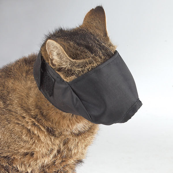 muzzle for cats to stop biting