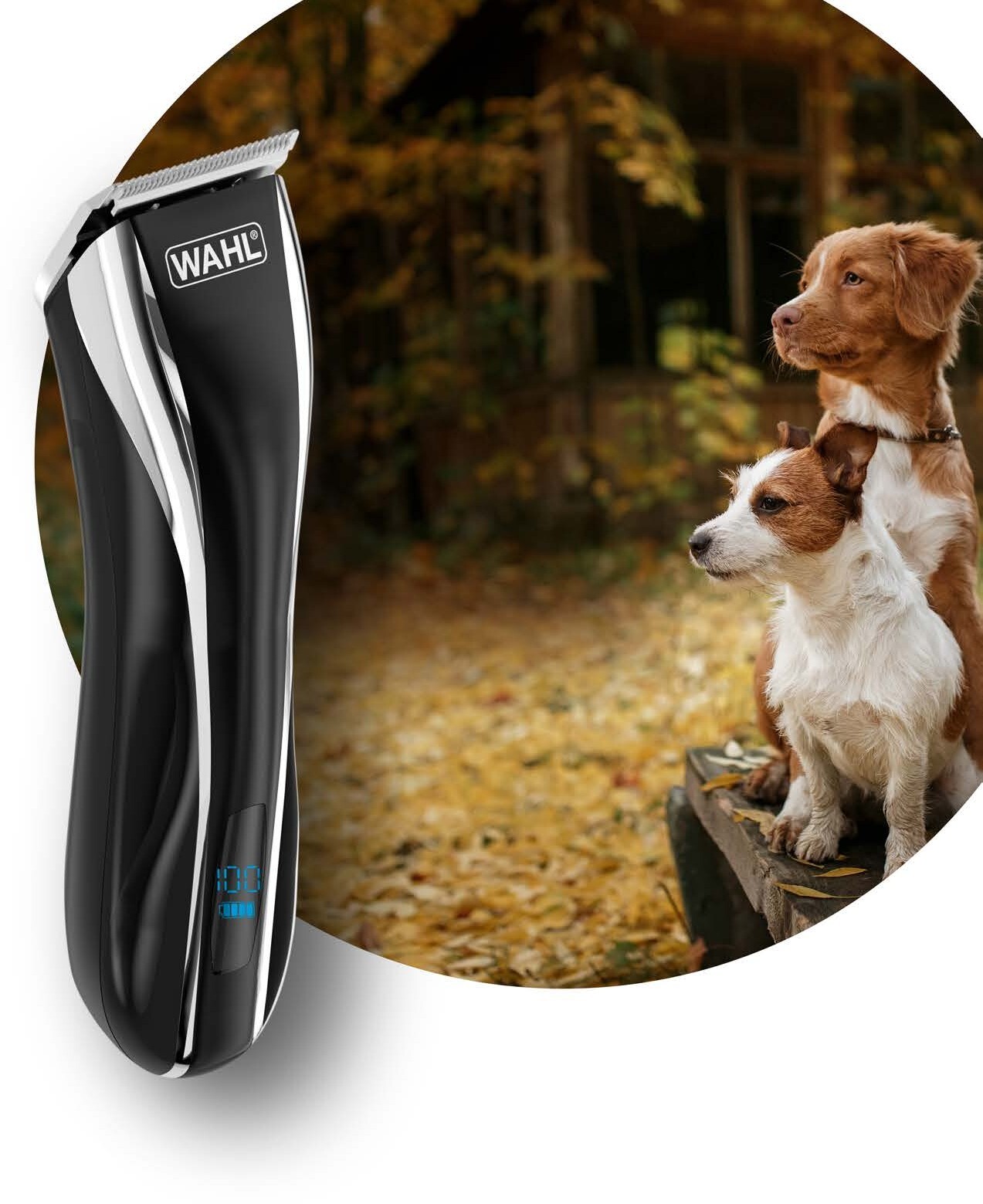 wahl cordless dog clippers australia