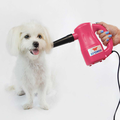 XPOWER Airrow Pro Dryer Air Pump Duster Blower B53 [Purple] XPower