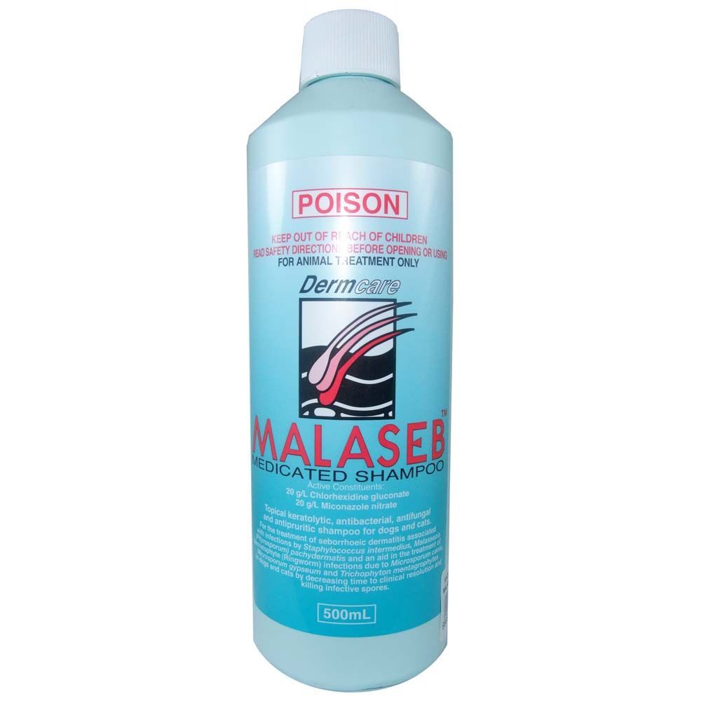 malaseb medicated foam