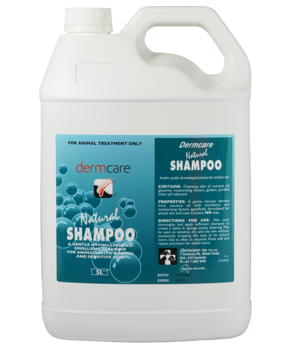 Dermcare shampoo sales dogs