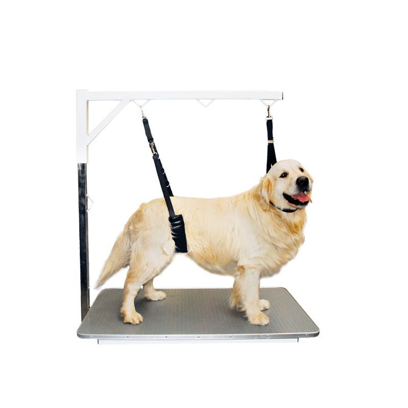 Belly strap for best sale dogs