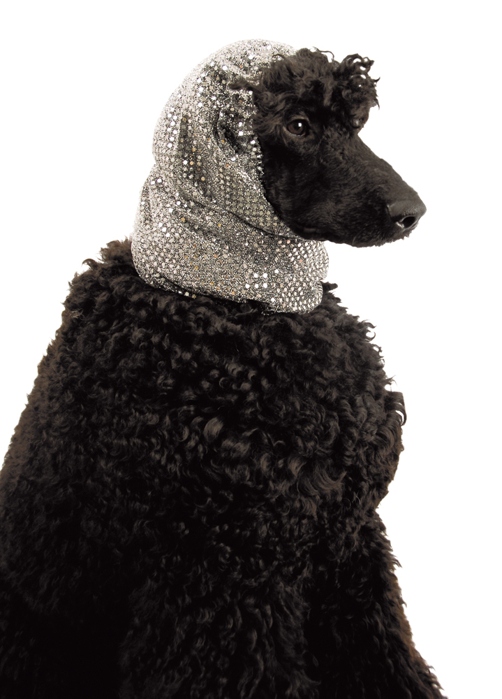 SHOW TECH Snood Luxe Fancy Silver Ear Covers For Dogs