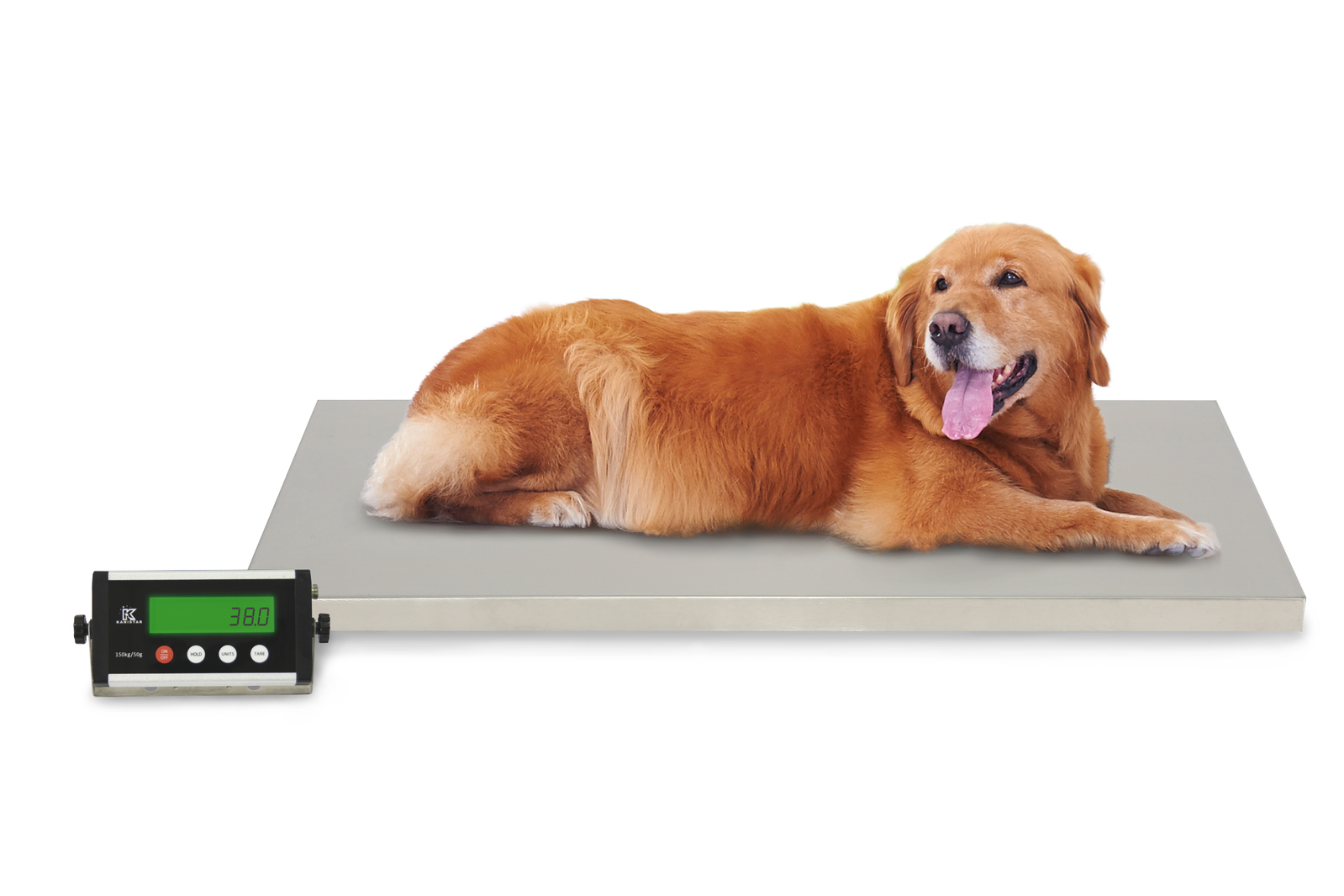 Pet Scale