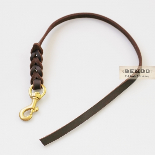 short dog training leash