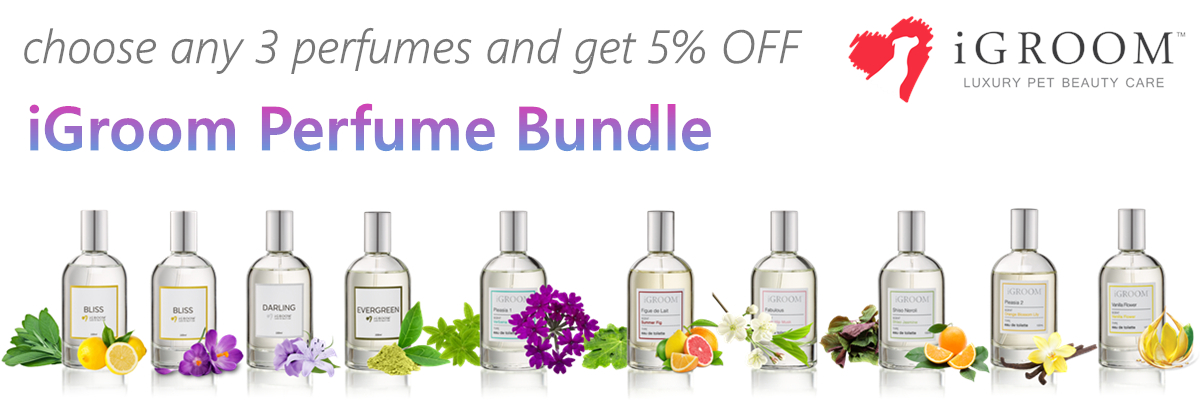iGroom Perfume Bundle 3