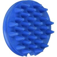 Grooma Original Curry Brush (Blue)