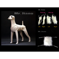 Mr. Jiang Teddy Bear 6pcs Practice Hair Set