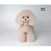 Mr. Jiang Teddy Bear Full Body Coat / Model Dog [Milk Tea]