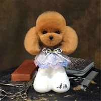 Mr. Jiang Teddy Bear Head Hair / Model Dog [Brown]