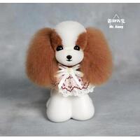 Mr. Jiang Teddy Bear Head Hair / Model Dog [Brown and White Mix]