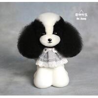 Mr. Jiang Teddy Bear Head Hair / Model Dog [Black and White Mix]
