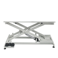 Shernbao Electric Lifting Bath Tub Base