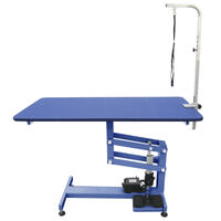 Shernbao Classic Z Electric Lifting Table - Large (Blue)