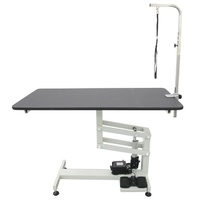 Shernbao Classic Z Electric Lifting Table - Large