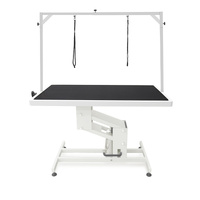 Shernbao Deluxe Hydraulic Table - Medium, with H Frame