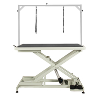 Shernbao Low-Low Electric Lifting Table