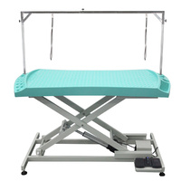 Shernbao Plastic Top Low-Low Electric Lifting Table with Storage [LOCAL PICK UP ONLY]