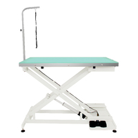Shernbao Electric Lifting Table with LED Light