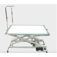 Shernbao Electric Lifting Table with LED Light
