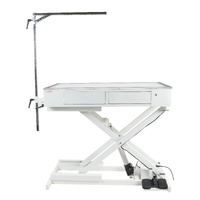 Shernbao Attractive LED Electric Lifting Table with Drawers