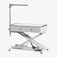 Shernbao Attractive LED Electric Lifting Table with Drawers