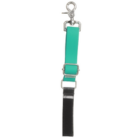 Aeolus Grooming Safty Tether Extension Strap - Teal