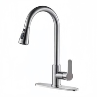 SUS304 Stainless Steel Pull-Out Sink Mixer Tap with WaterMark