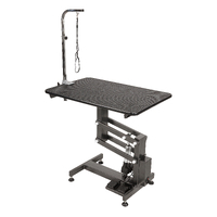 Aeolus Classic Z Shape Electric Lifting Table - Medium [Black]