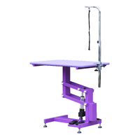 Aeolus Classic Z Shape Electric Lifting Table - Medium [Purple]