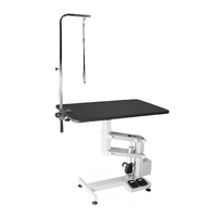 Aeolus Classic Z Shape Electric Lifting Table - Medium [White]