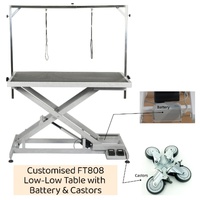 Aeolus Low-Low Electric Lifting Table with Battery