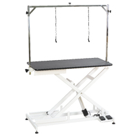 Aeolus Low-Low Electric Lifting Table Eco Version