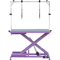 Aeolus Low-Low Electric Lifting Table [Lilac Purple]