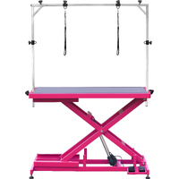 Aeolus Low-Low Electric Lifting Table - Magenta