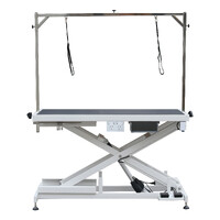 Aeolus Low-Low PRO Electric Lifting Table - White