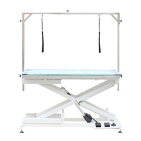 Aeolus Electric Lifting Table with LED Light