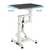 KissGrooming Rectangle Air Lift Grooming Table FT838REC - Large