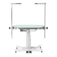 Aeolus ACE Deluxe Grooming Table with Vertical Lift Column