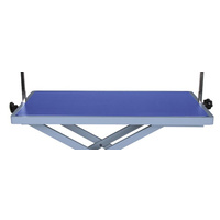 Medium Table Top 90cm x 60cm [Blue]