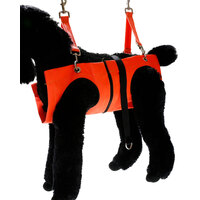 Aeolus Grooming Hammock with Extender