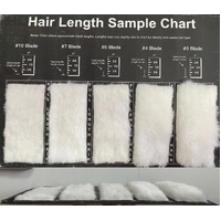 Aeolus Hair Length Sample / Clip Chart