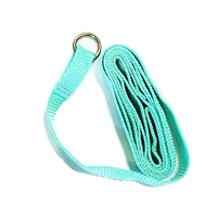 Kennel Lead / Slip Lead [Teal] 13mm(W) x 1200mm(L) 