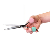 Swan Scissor Training Ring