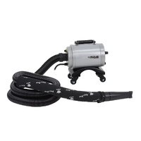 Aeolus 901GT-CB Car Detailing Blower