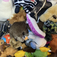 Mixed Soft Dog Toy Small/Medium Size