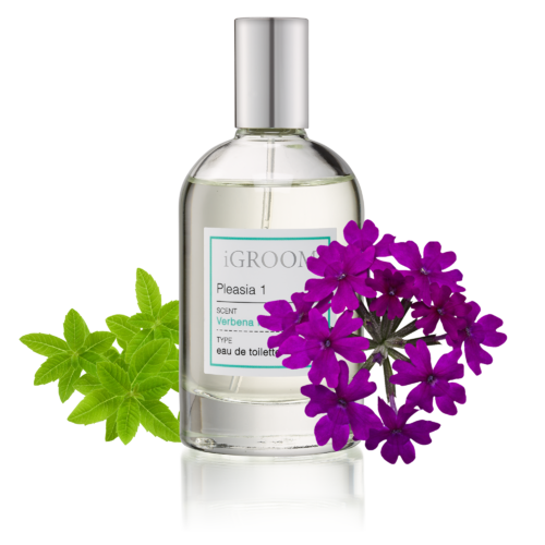 iGroom Perfume Pleasia 1 100ml