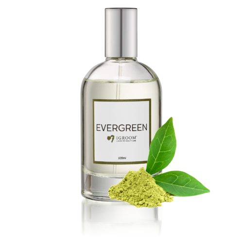 iGroom Evergreen Pet Perfume 100ml