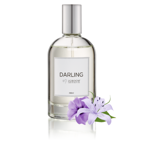 iGroom Perfume Darling 100ml